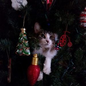 Meet your Posher, Kathleen